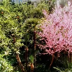 Nel Cuore di Sorrento Casa Luisa ti aspetta!
