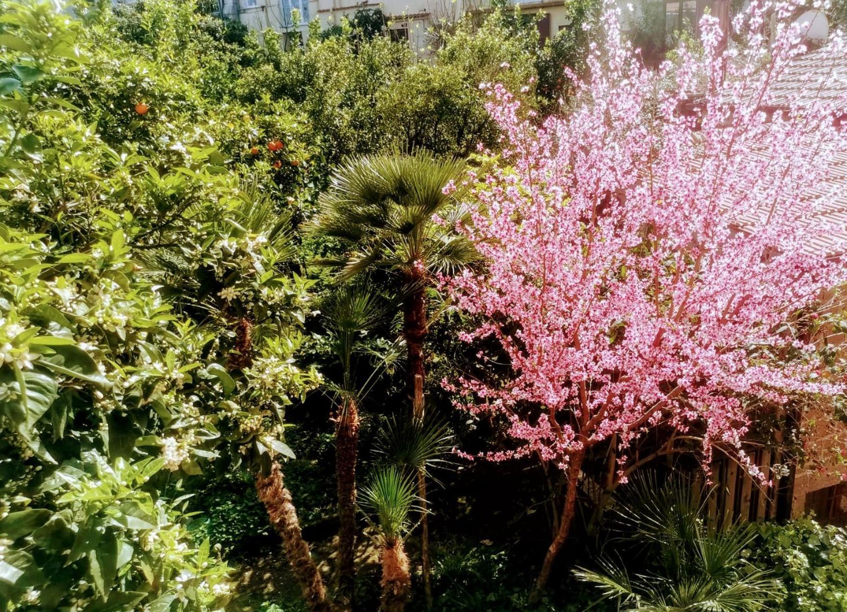 Nel Cuore Di Casa Luisa Ti Aspetta! Appartamento Sorrento